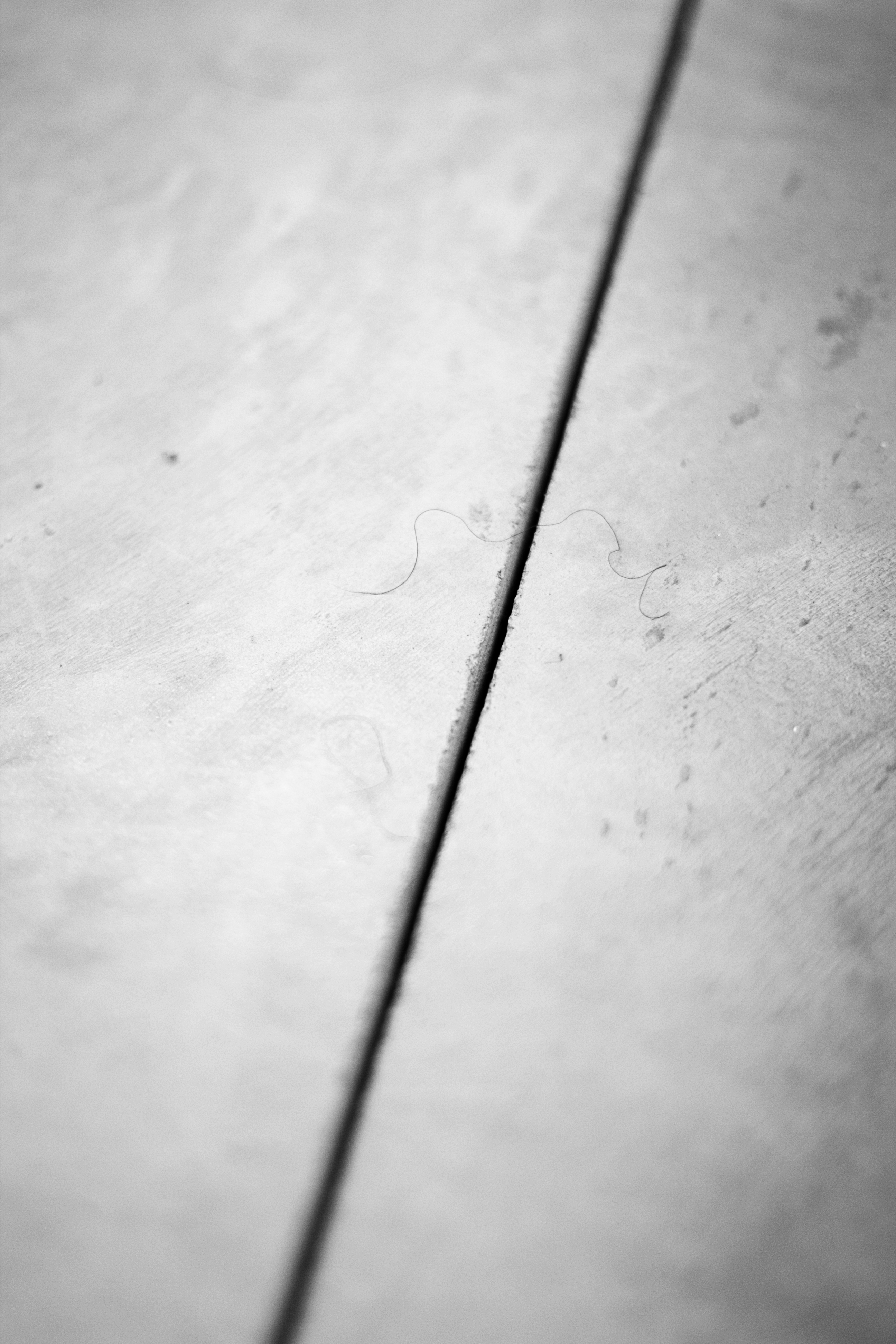 grebliauskaites-grindys-3